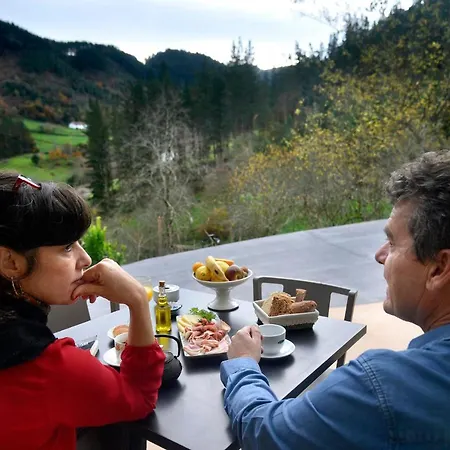 Casa rural Andikoetxe Landetxea *
